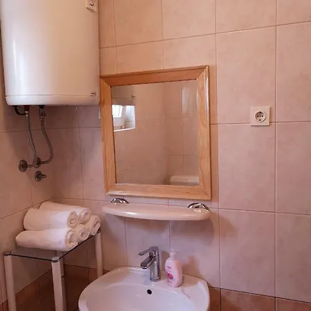Guest house Residence Romansa 3*