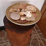 Vendégház Romansa